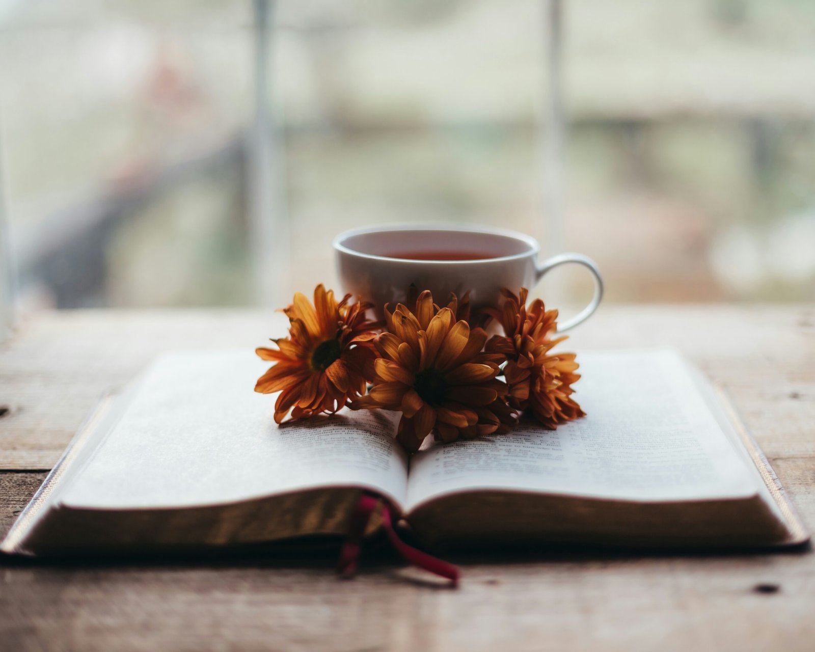 Open book with tea and flowers by window